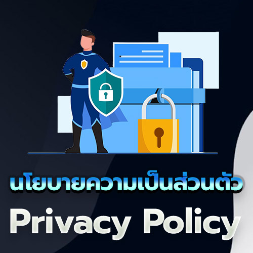 นโยบายความเป็นส่วนตัว
